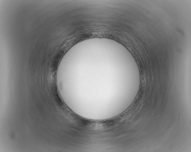 X0000116550276200912101009