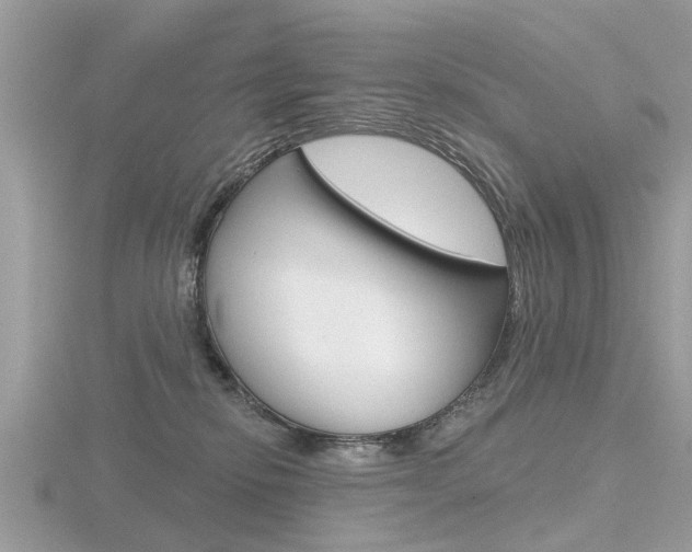 X0000116550278200912101009