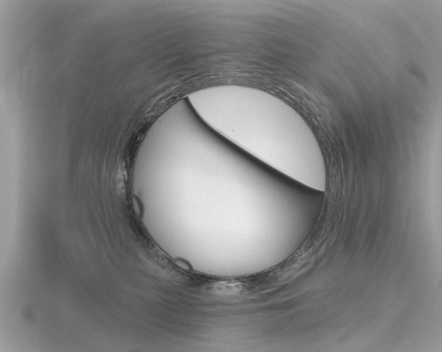 X0000116550279200912101009