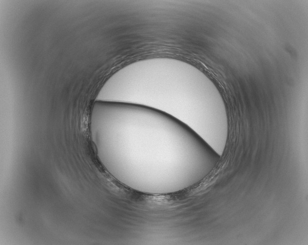 X0000116550281200912101009