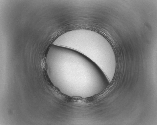 X0000116550285200912101009