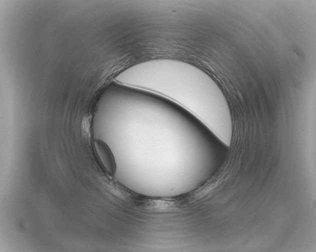 X0000116550286200912101009