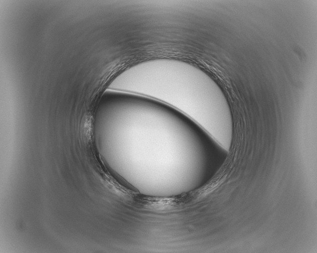 X0000116550288200912101009