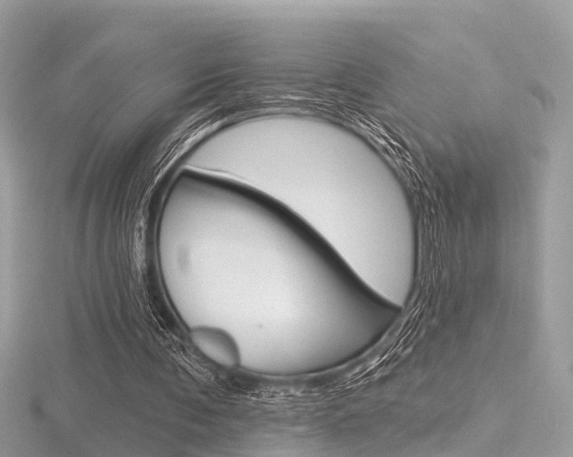 X0000116550291200912101008