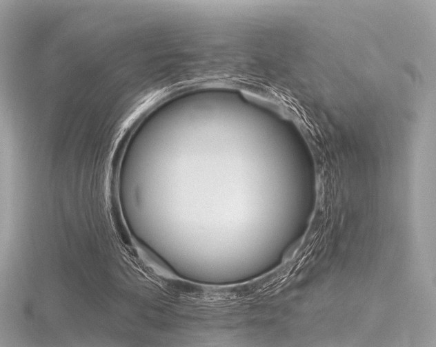 X0000116550292200912101008