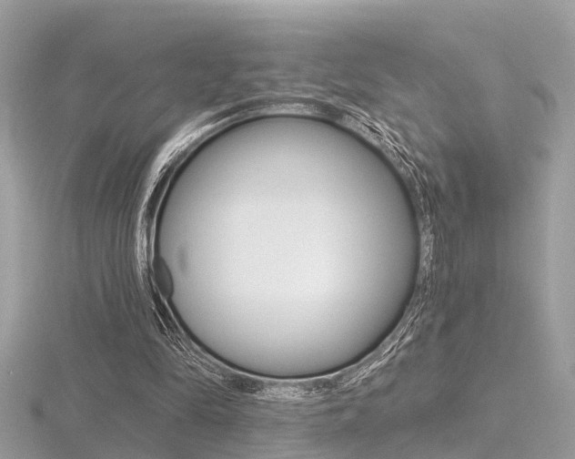 X0000116550294200912101008