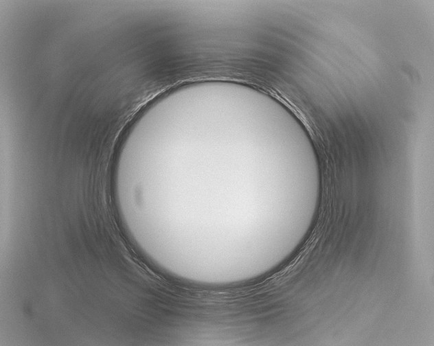 X0000116550301200912101008