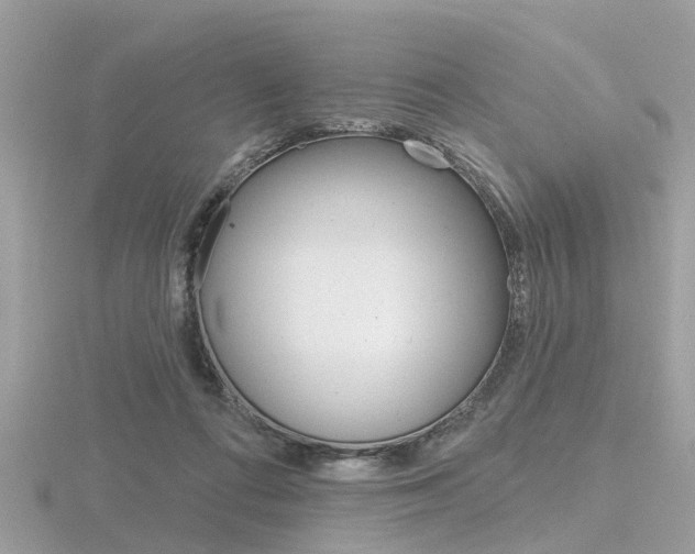 X0000116550312200912101008