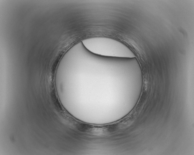 X0000116550314200912101008