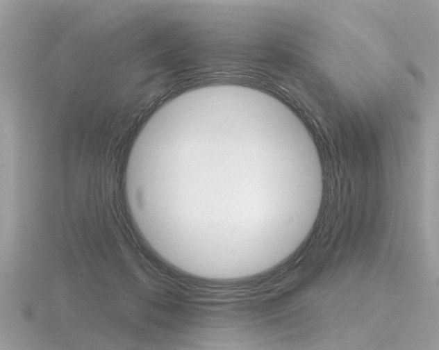 X0000116550316200912101008