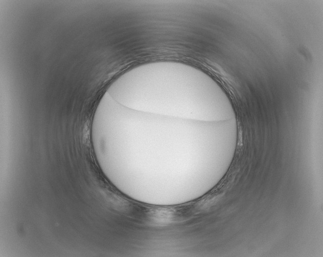 X0000116550318200912101008