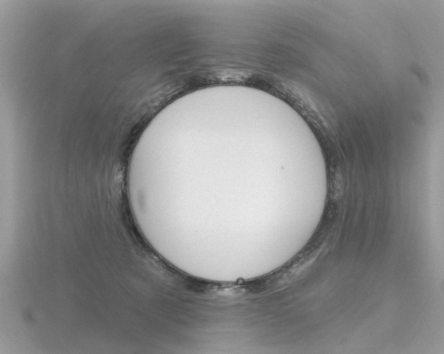 X0000116550321200912101008
