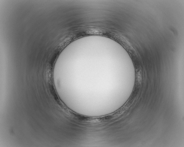 X0000116550322200912101008