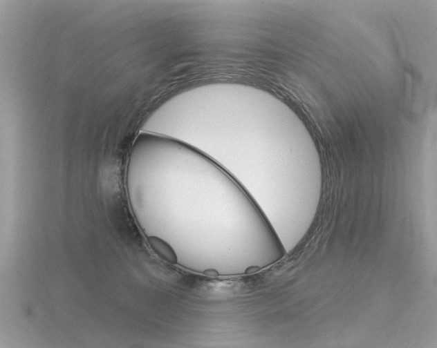 X0000116550323200912101008