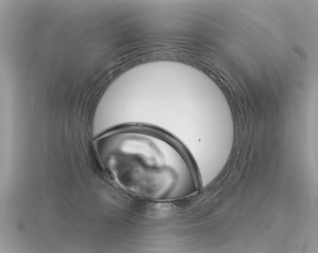 X0000116550324200912101008