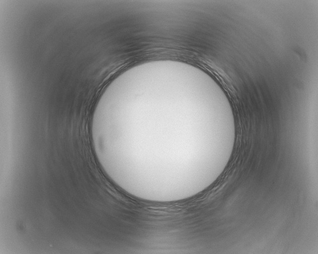 X0000116550325200912101008