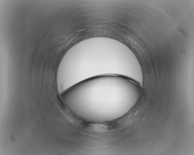 X0000116550327200912101008