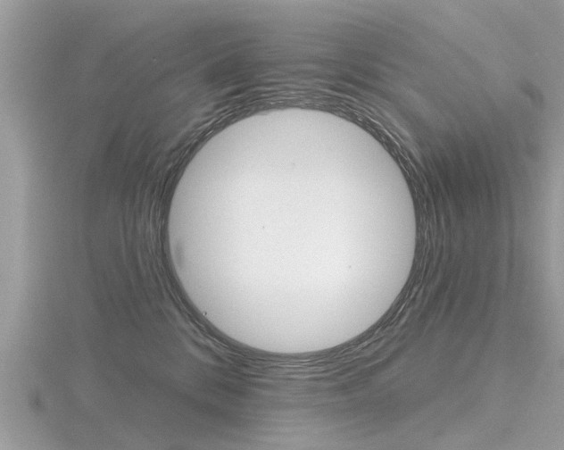X0000116550328200912101008