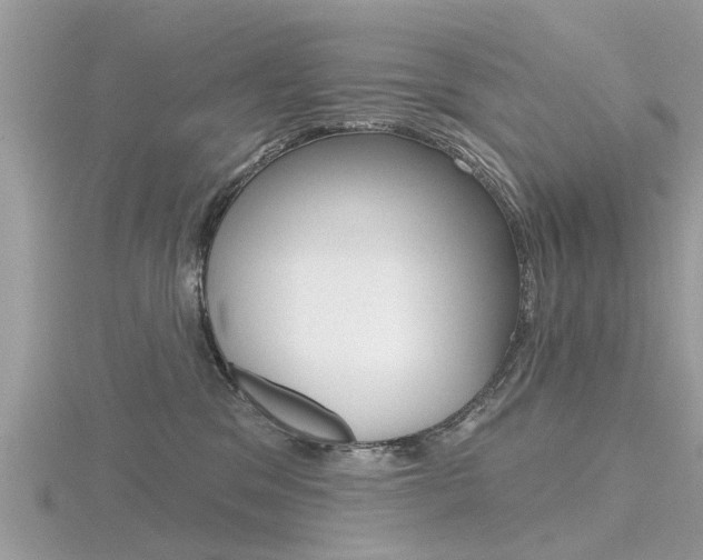 X0000116550329200912101008