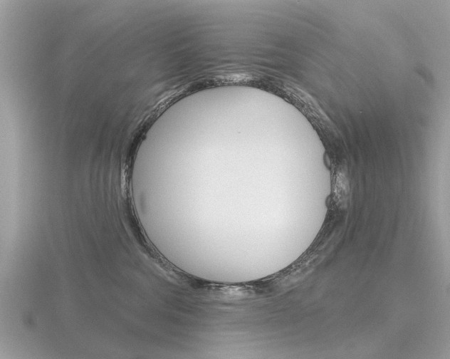 X0000116550330200912101008