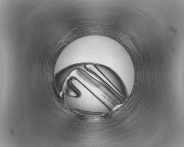 X0000116550332200912101008