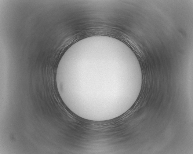X0000116550333200912101008