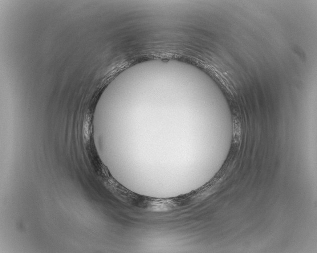 X0000116550334200912101008