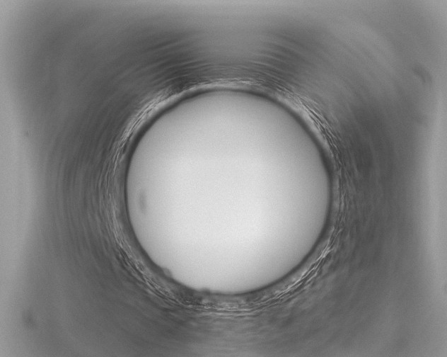 X0000116550337200912101007