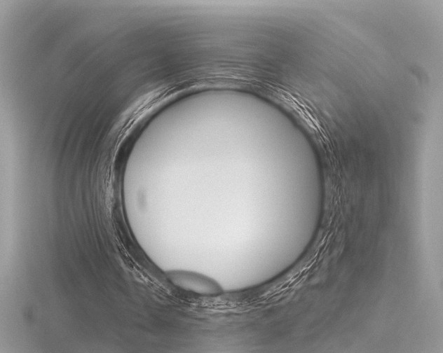X0000116550338200912101007