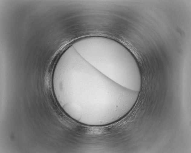 X0000116550347200912101007
