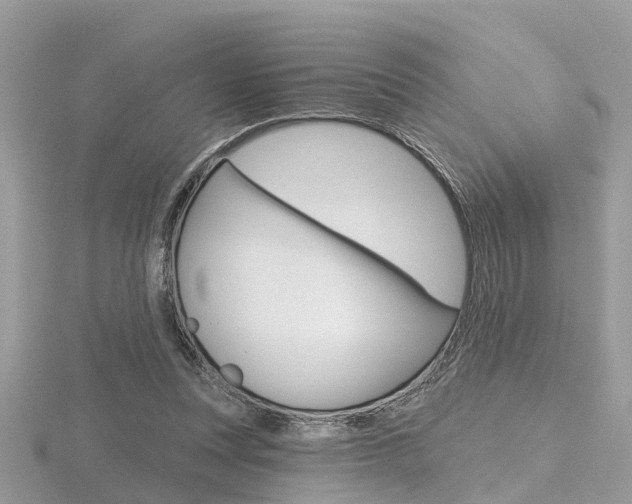 X0000116550351200912101007