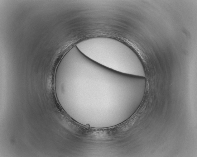 X0000116550353200912101007
