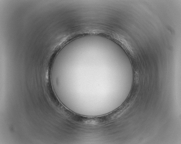 X0000116550358200912101008