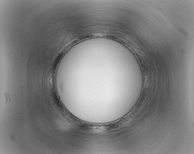 X0000116550363200912101008