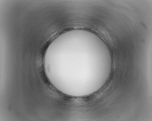 X0000116550367200912101008