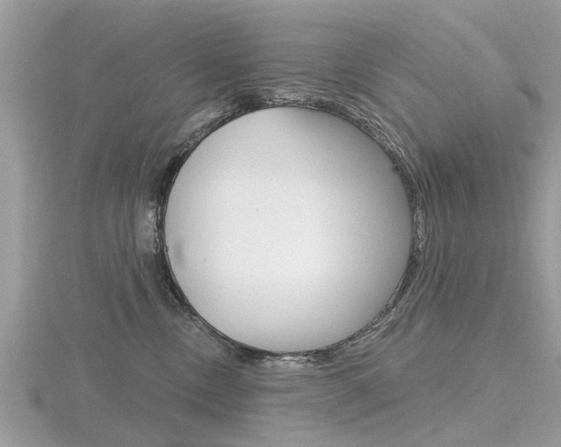 X0000116550378200912101008