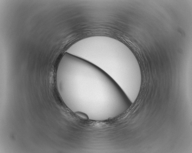 X0000116550379200912101008