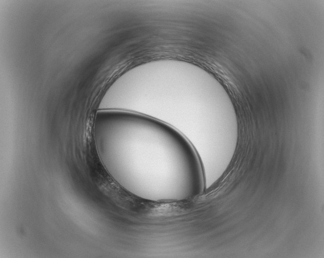 X0000116550382200912101008