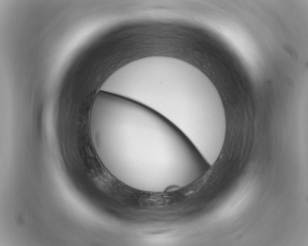 X0000116550383200912101008