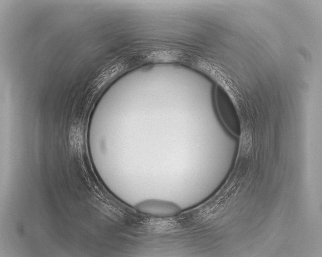 X0000116550386200912101007