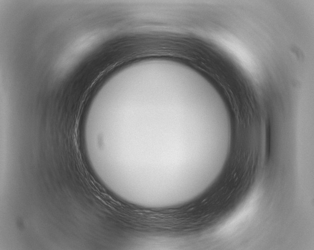 X0000116550387200912101007