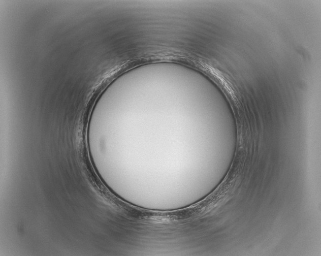 X0000116550394200912101007
