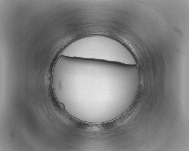 X0000116550402200912101007