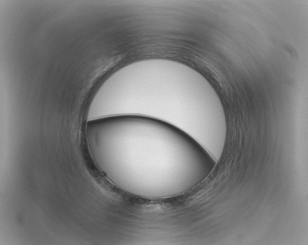 X0000116550404200912101007