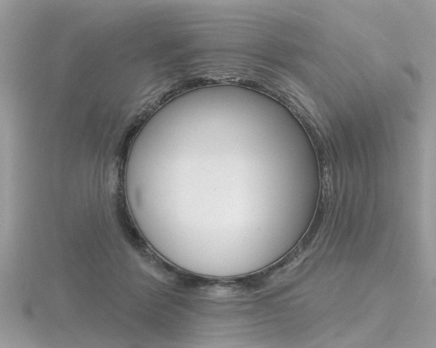 X0000116550412200912101007