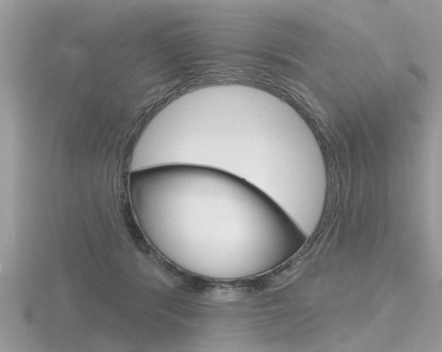 X0000116550416200912101007