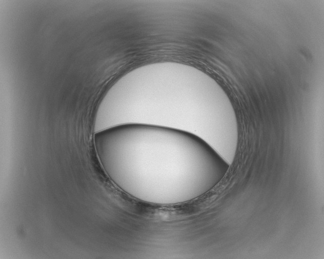 X0000116550420200912101007