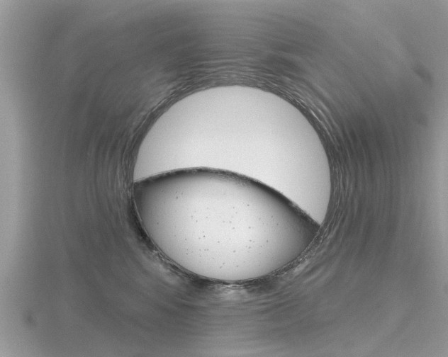 X0000116550424200912101007