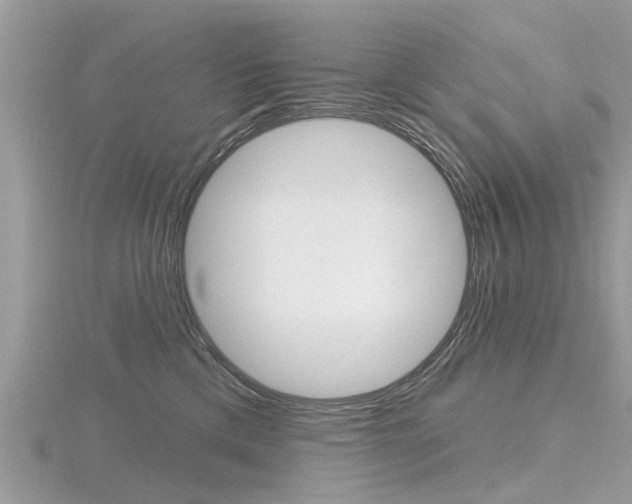 X0000116550425200912101007