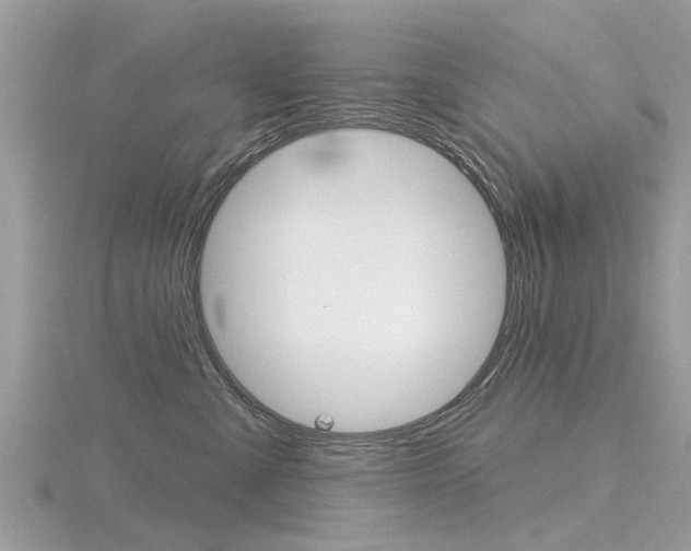 X0000116550427200912101007